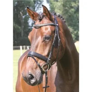 Hans Melzer Horse Equipment Hans Melzer Trense Kreuth schwarz/silber WB (Warmblut)