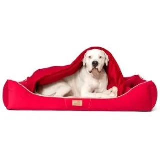 Tierlando RUDOLPH - Orthopädisches Hundebett inkl. Schonbezug mit Hundedecke dunkelrot 1,3 m, 25 cm, 1 m