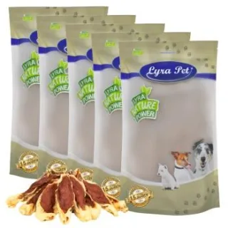 Lyra Pet Kaninchenohren gefüllt mit Huhn 5 kg