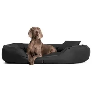 Tierlando ® Orthopädisches Hundebett SAMMY | Robuster Polyester | Dicke Umrandung anthrazit 1,7 m, 35 cm, 1,1 m