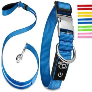 Petsation Leuchthalsband + Leine blau L
