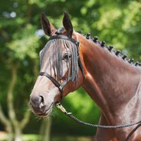 BUSSE Halfter WEIDE-FRANSEN schwarz - Shetty