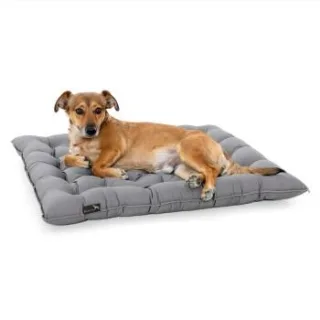 Doctor Bark Pointer Urban Kissen hellgrau M