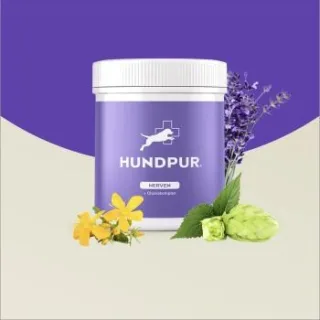 HUNDPUR ® Nerven mit Glückskomplex
